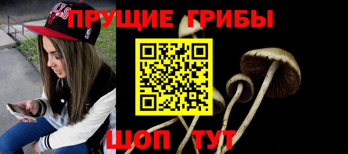 Галлюциногенные грибы GOLDEN TEACHER  Вход с VPN  Нурлат 