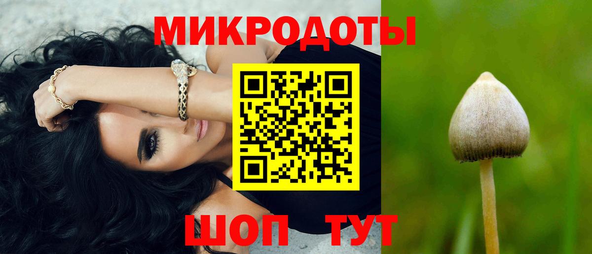 Галлюциногенные грибы Psilocybine cubensis Нурлат